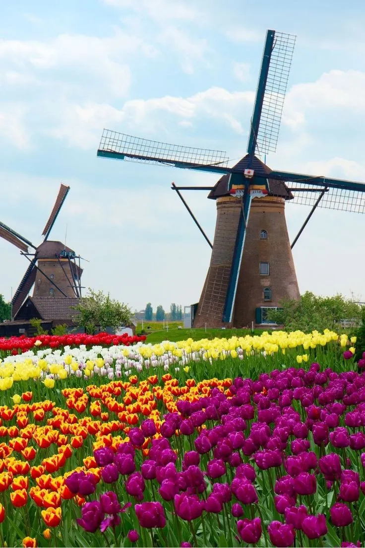 Dedicated-Server in Amsterdam