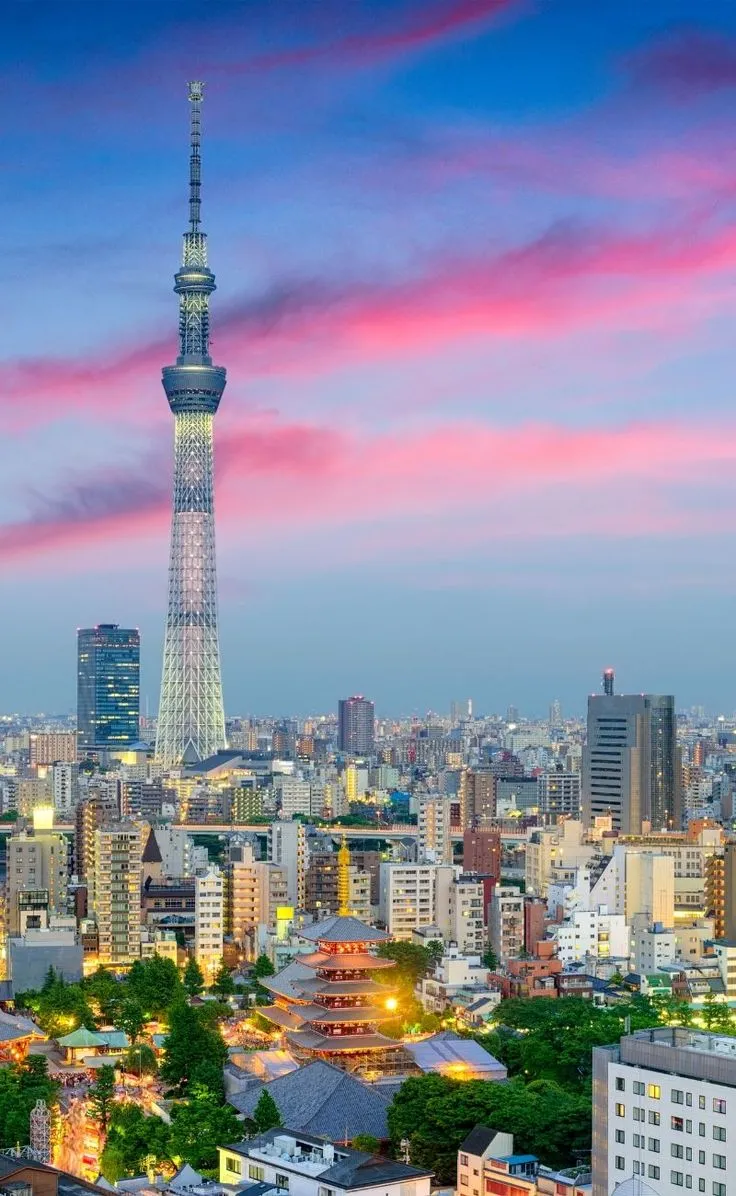 Dedicated-Server in Tokyo